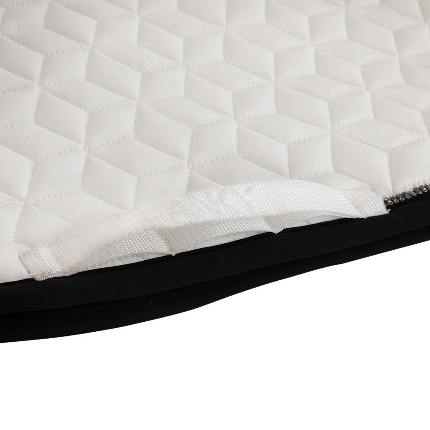 ANKY® Concensus Dressage Saddle Pad, White