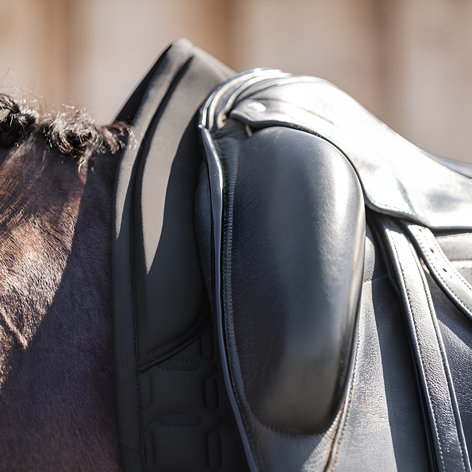 ANKY® LUMINOUS Dressage Saddle Pad, Black