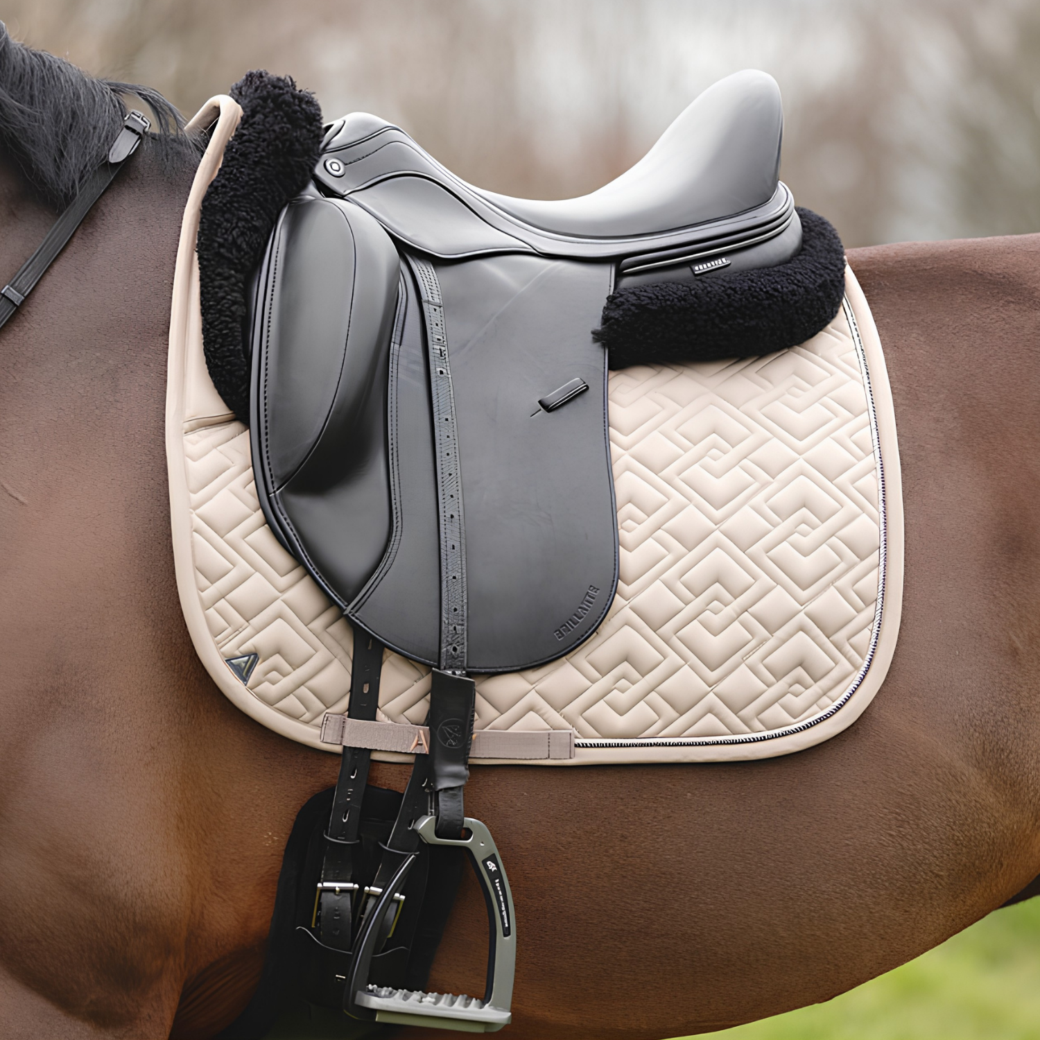 ANKY® Professional Dressage Saddle Pad, Moon Rock