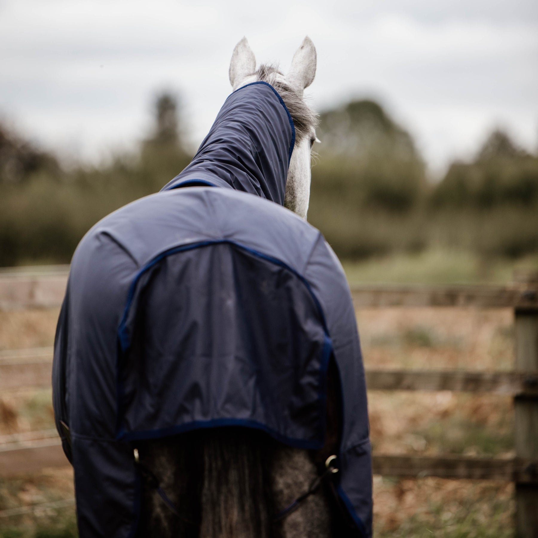 Kentucky Horsewear Turnout Rug All Weather Hurricane 50g