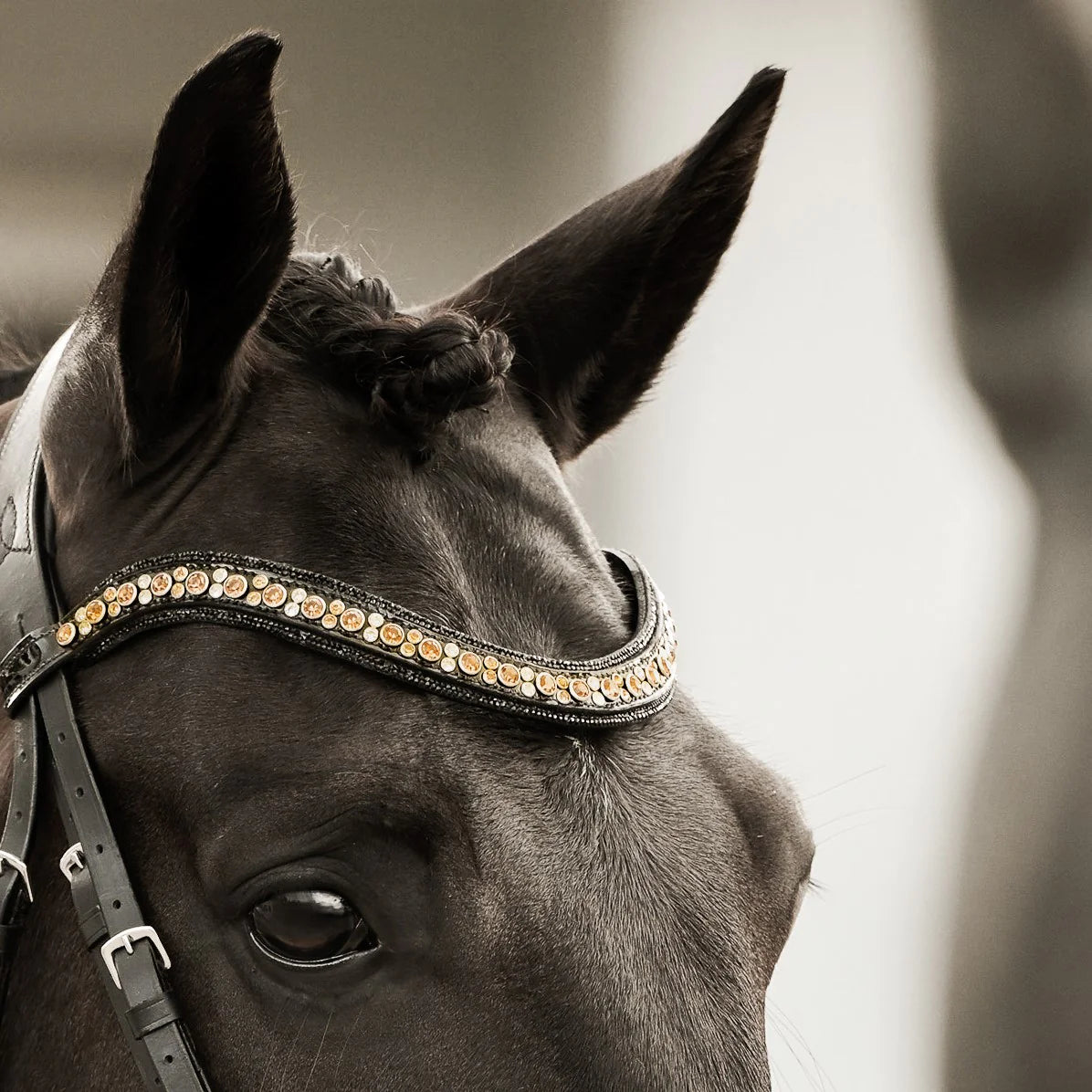 Lumiere Ariana Crystal Browband, black Leather