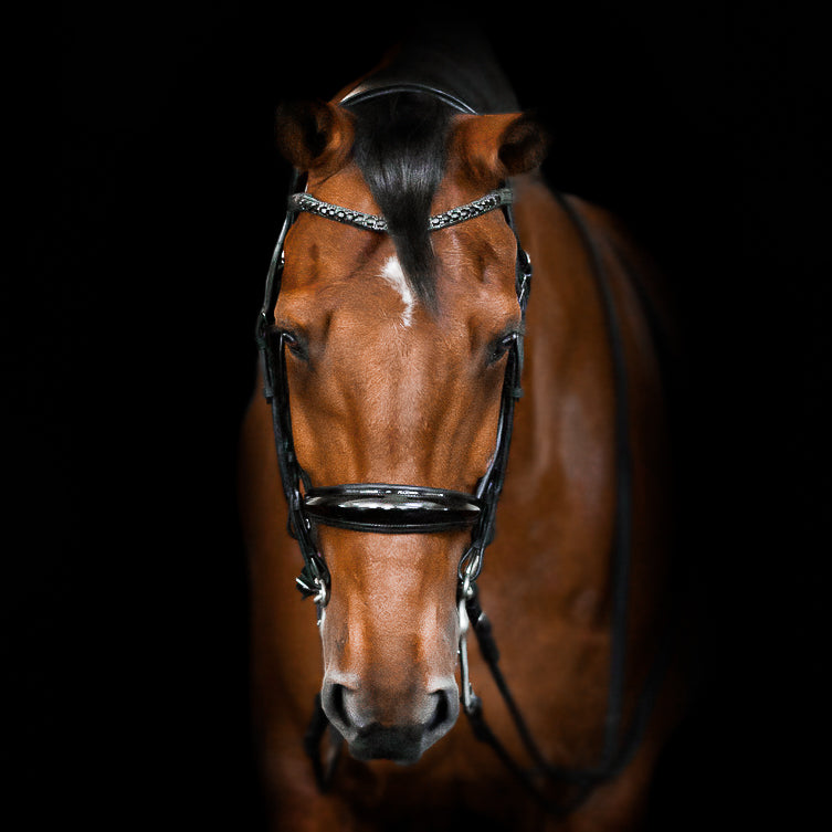 Lumiere Equestrian AUDREY Luxury Leather Double Bridle, Black