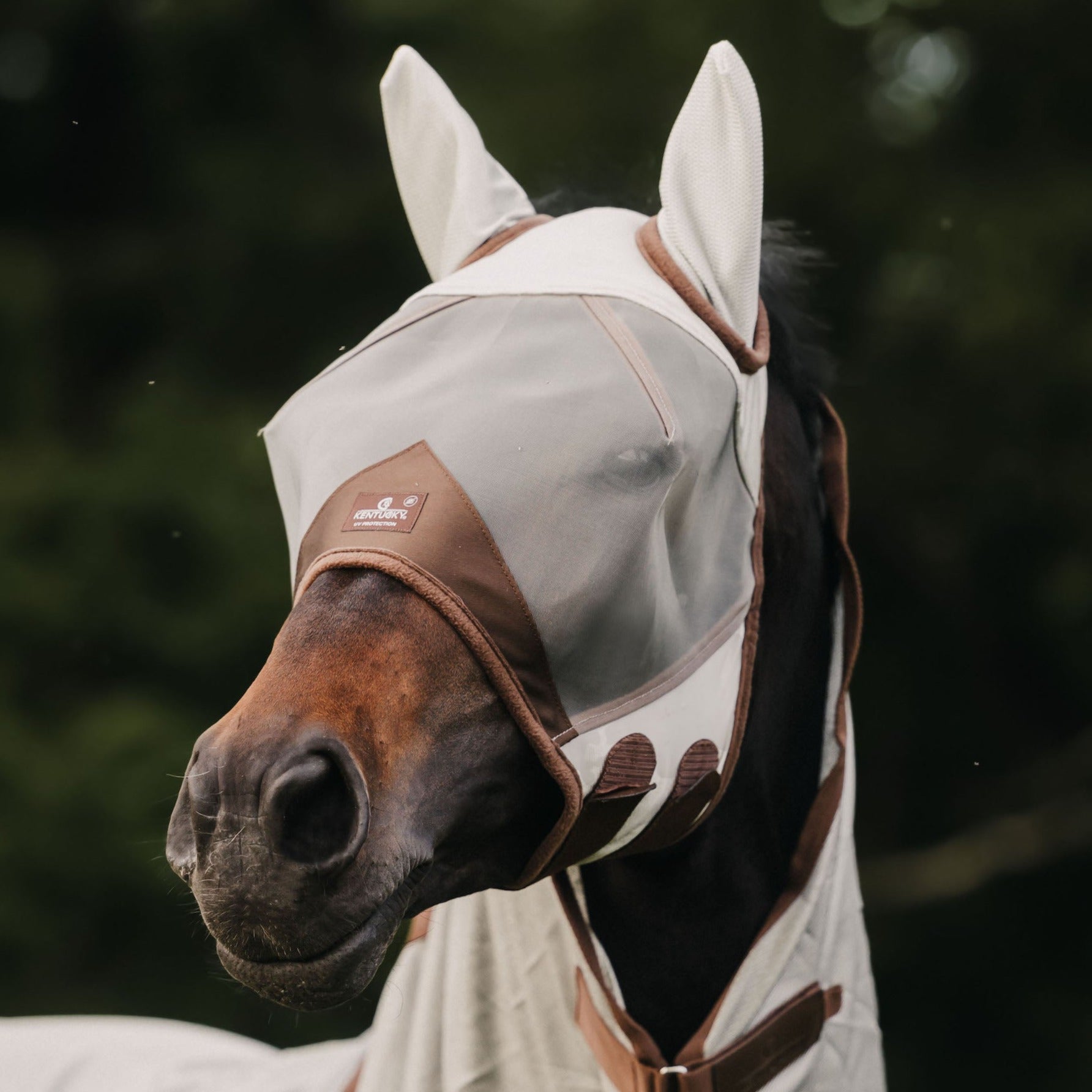 Kentucky Horsewear Fly Mask Classic, Silver – Dapper Horse