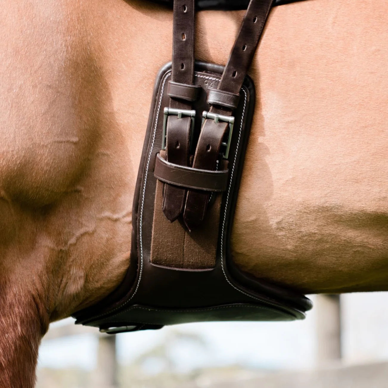 Lumiere Equestrian Short Stud Girth, Brown