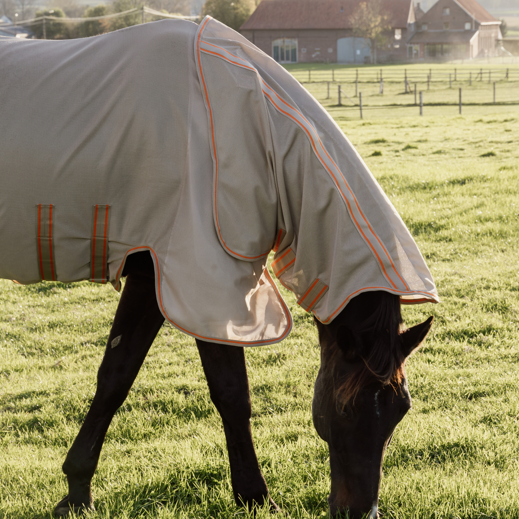 Kentucky Horsewear Mesh Fly Rug Comfort