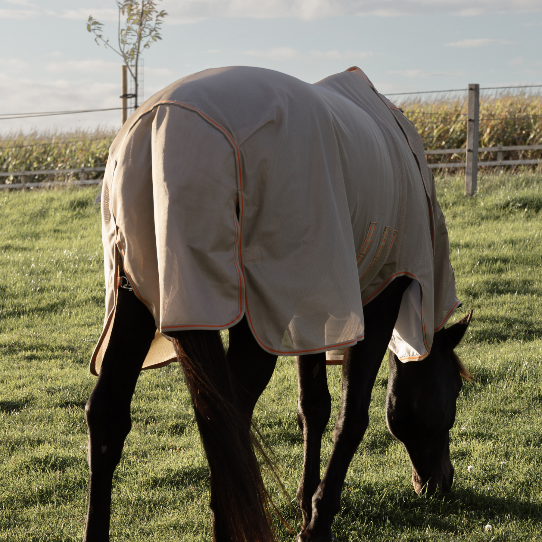 Kentucky Horsewear Mesh Fly Rug Comfort