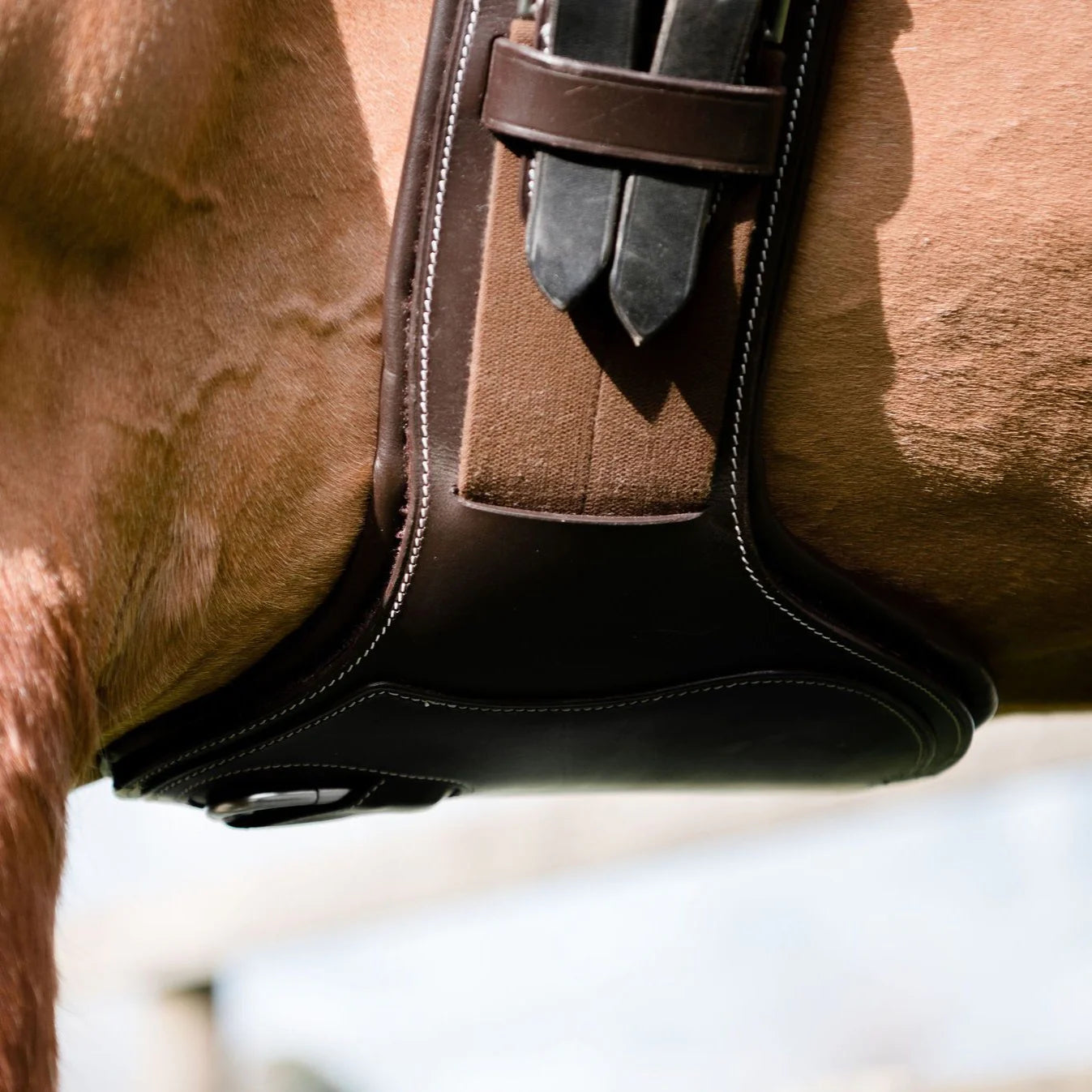 Lumiere Equestrian Short Stud Girth, Brown