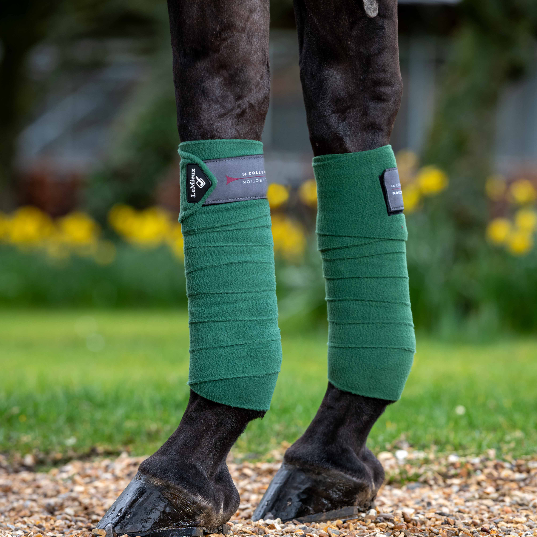 LeMieux Classic Polo Bandages, Hunter Green