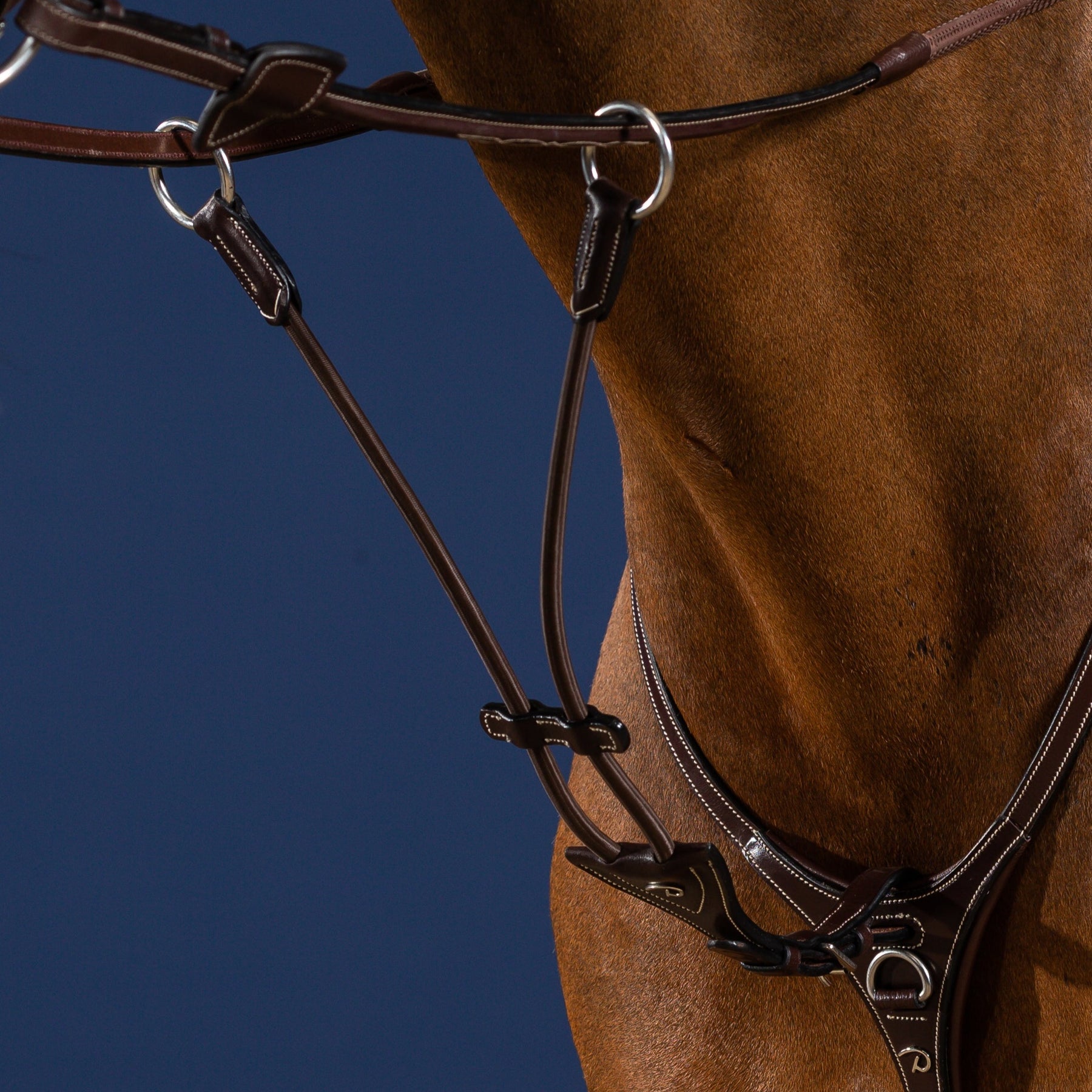 Dy'on Elastic Running Martingale Attachment, Brown, US Collection