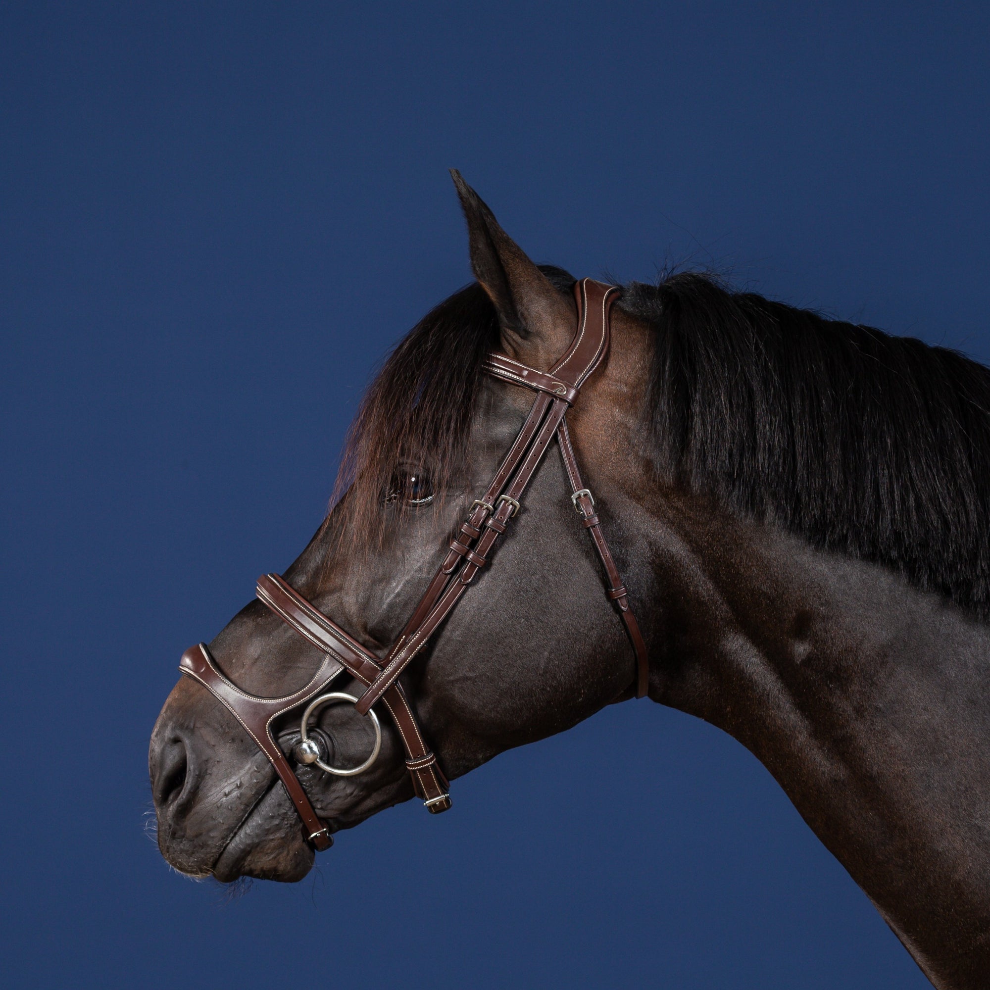 Dy&#39;on Double Noseband Bridle, Brown, US Collection