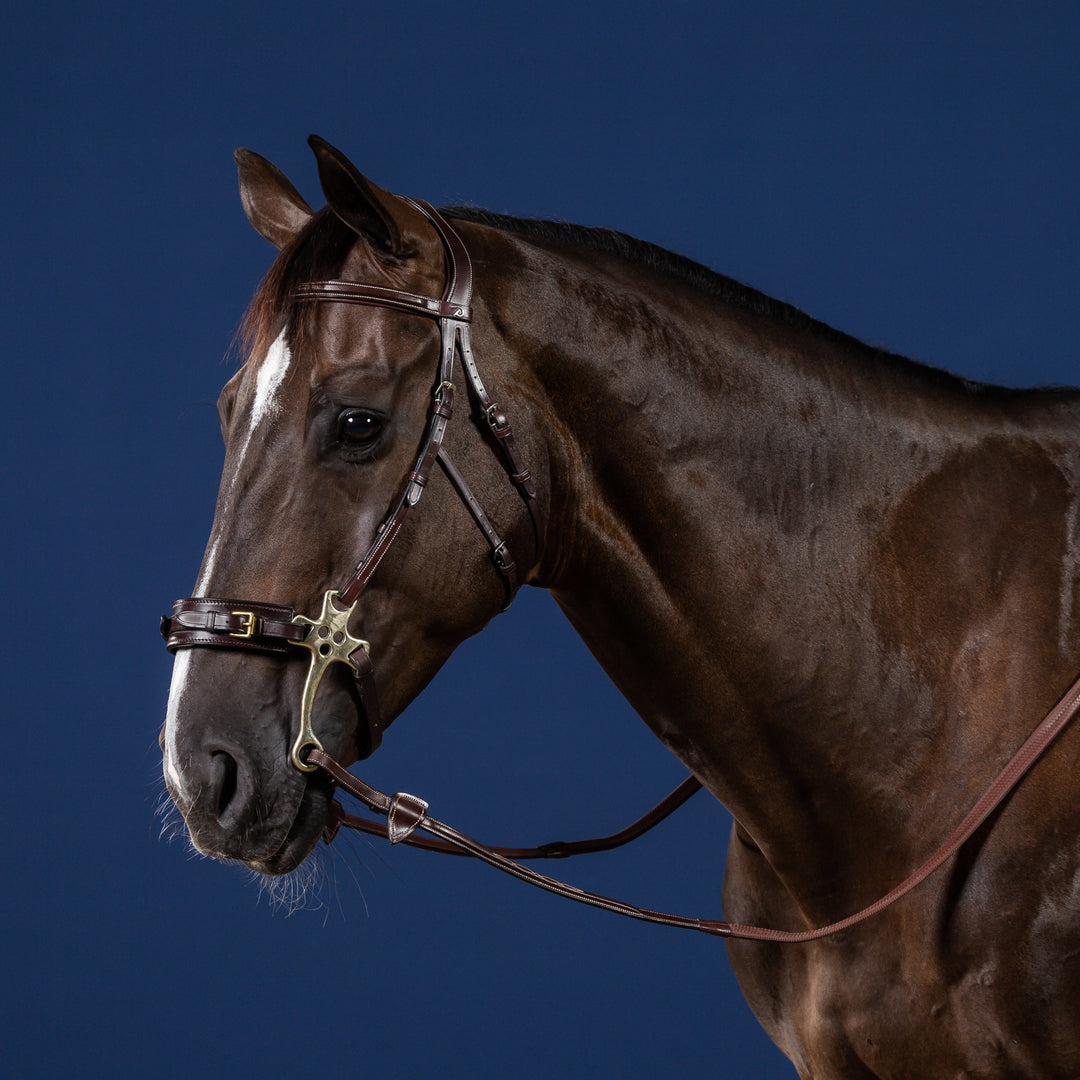 Dy'on Hackamore Bridle, Brown, US Collection