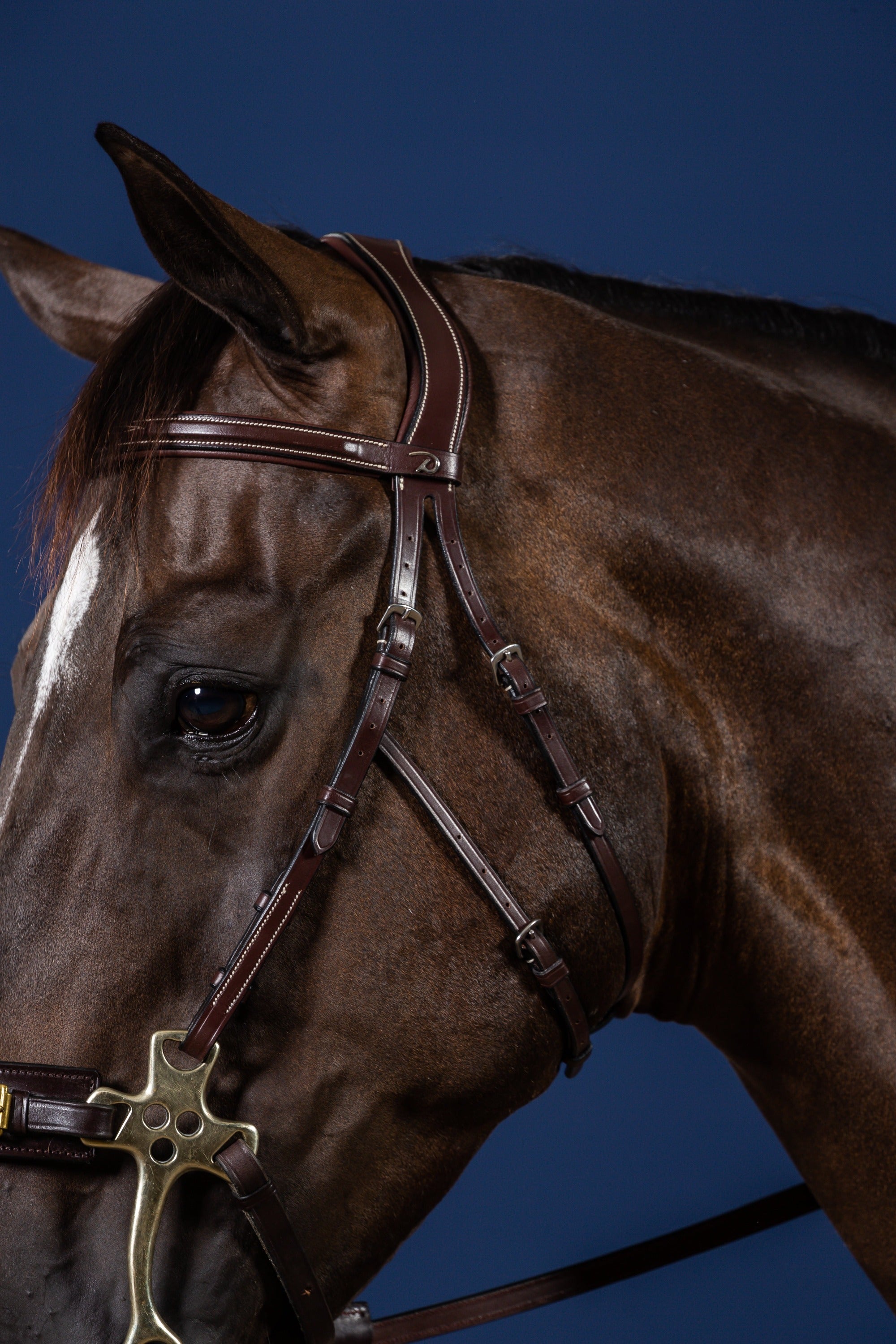 Dy&#39;on Hackamore Bridle, Brown, US Collection