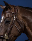 Dy'on Hackamore Bridle, Brown, US Collection