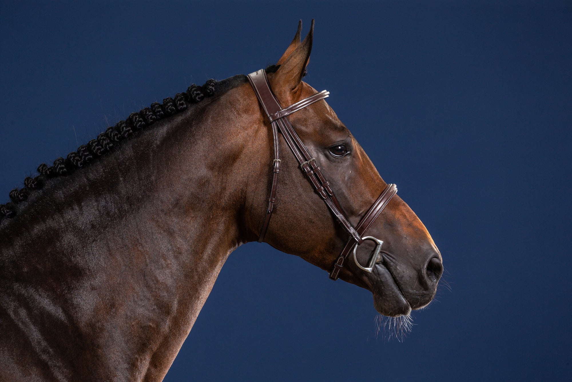 Dy&#39;on Cavesson Noseband Bridle, Brown, US Collection