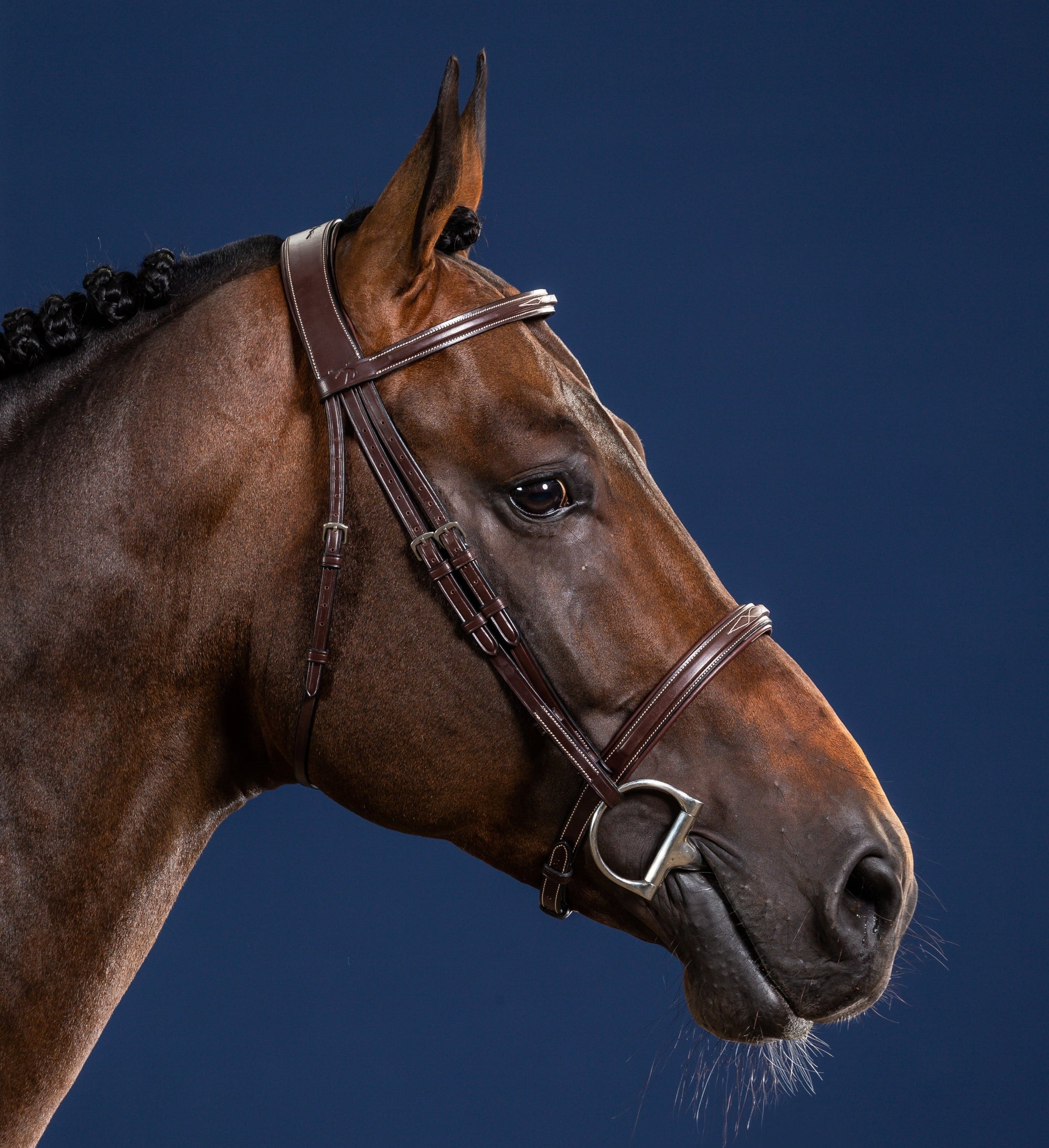 Dy&#39;on Cavesson Noseband Bridle, Brown, US Collection