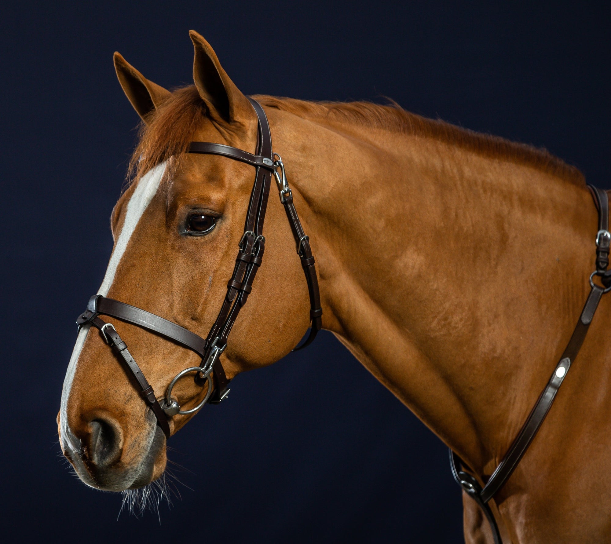 Dy&#39;on Flat Leather Bridle With Snap Hooks, Brown, Working By Dyon