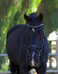 Halter Ego Doc Marten Leather Snaffle Bridle, Black