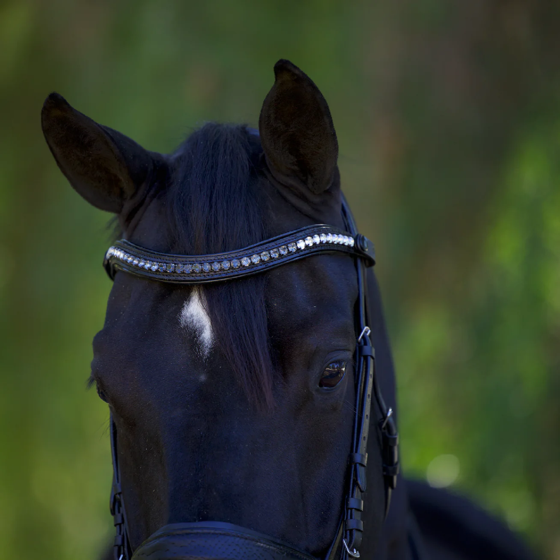 Halter Ego Doc Marten Leather Snaffle Bridle, Black