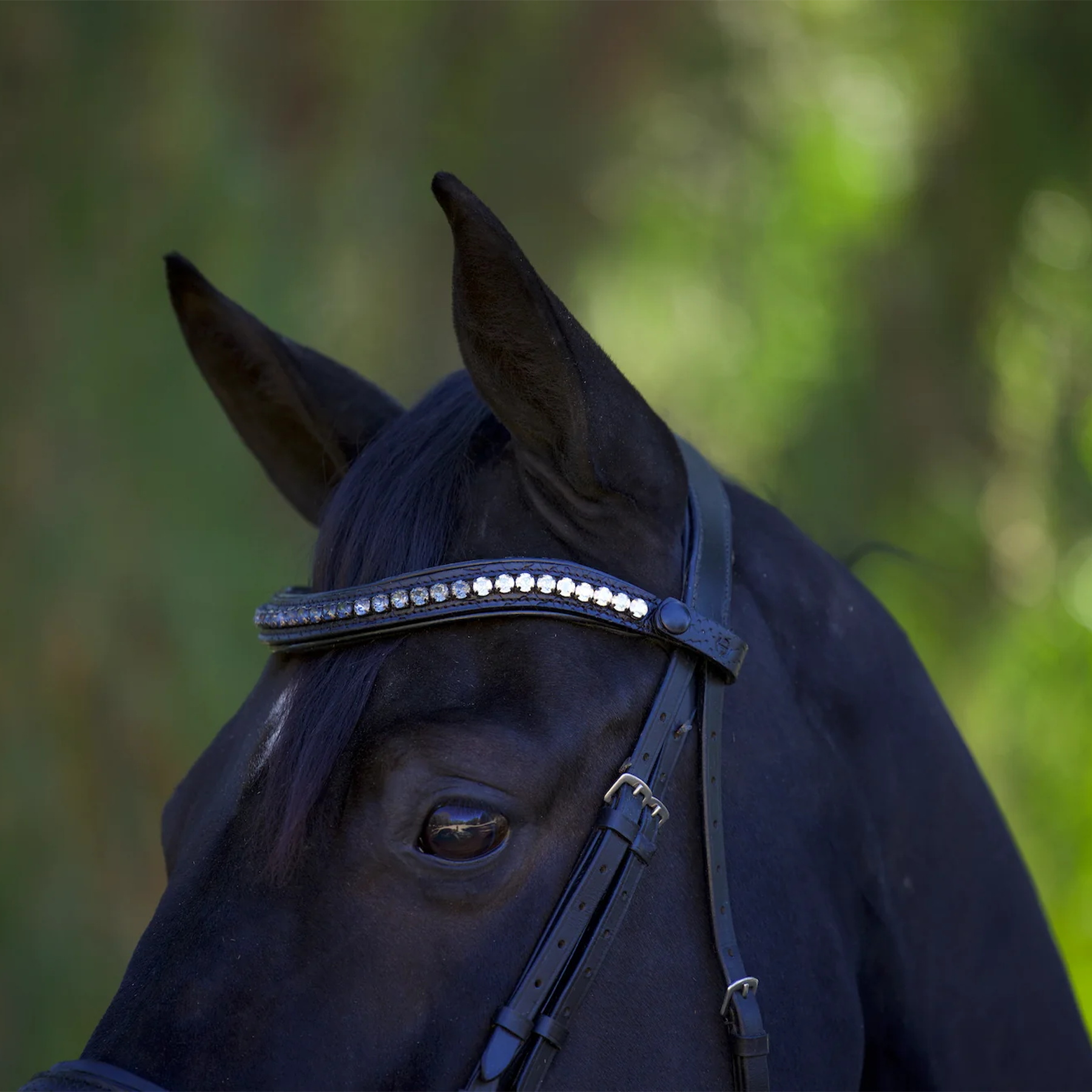 Halter Ego Doc Marten Leather Snaffle Bridle, Black