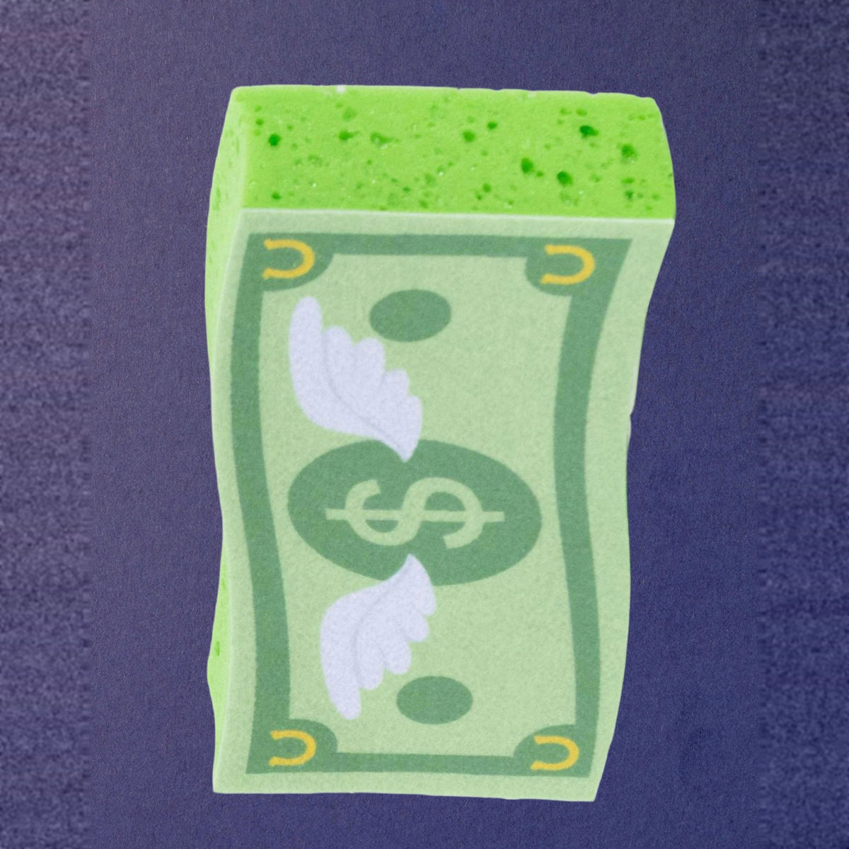 Dreamers &amp; Schemers Cash Money Bath Sponge