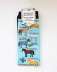 Dreamers & Schemers Clipart Pair & A Spare Socks