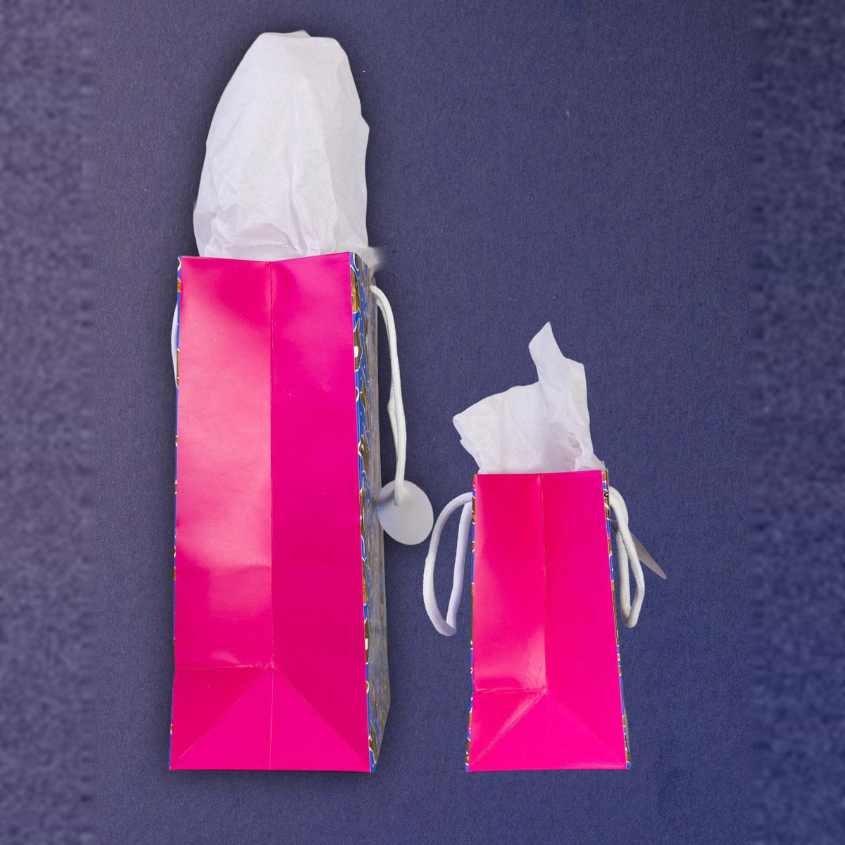Dreamers &amp; Schemers Hairy Styles Gift Bag