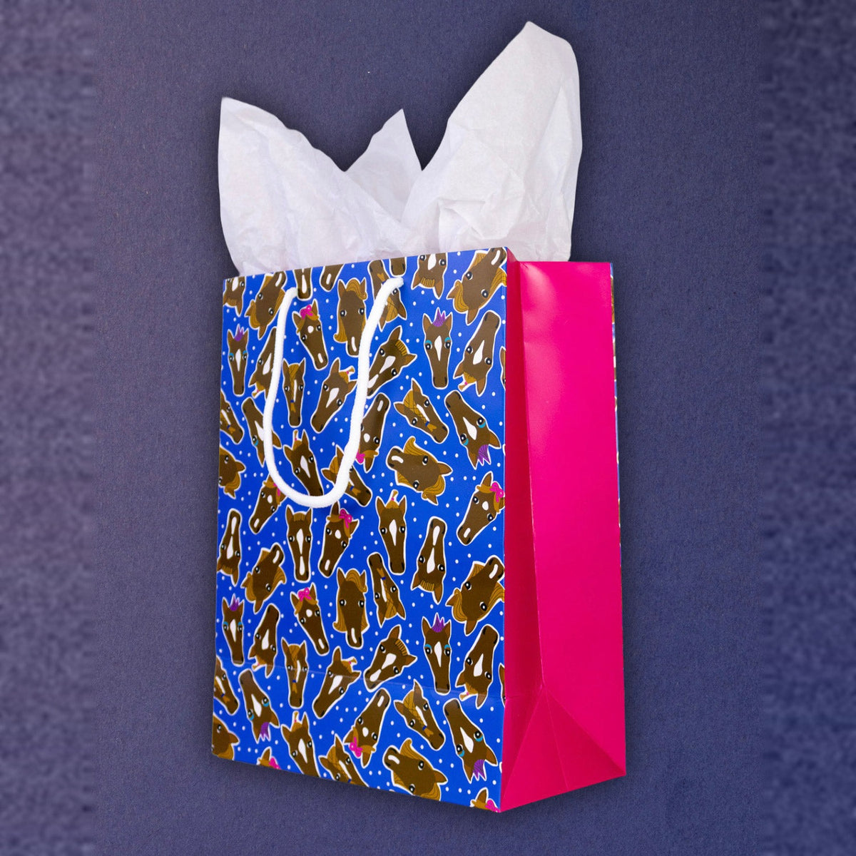 Dreamers &amp; Schemers Hairy Styles Gift Bag