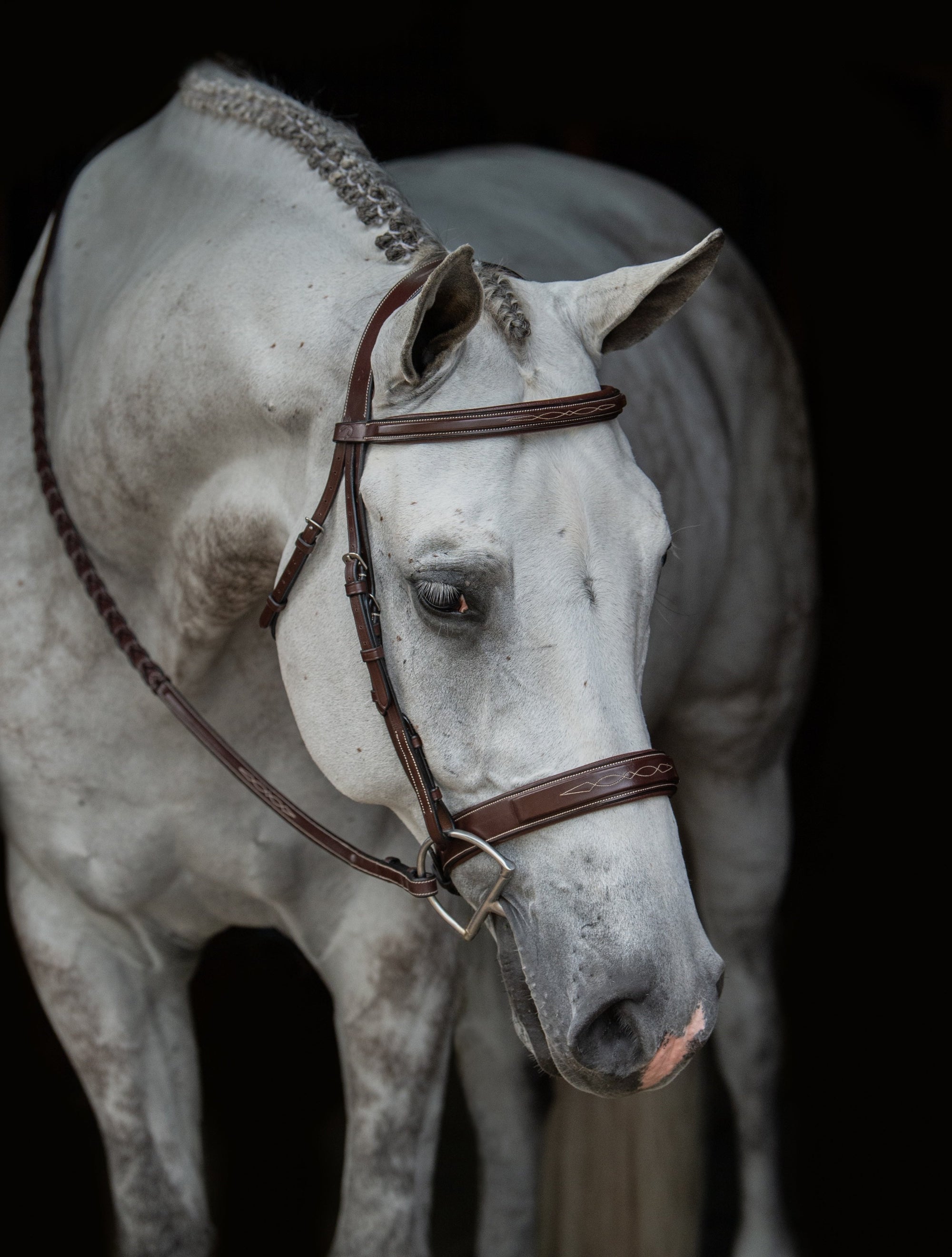 Dy&#39;on Wide Noseband Hunter Bridle, Brown, US Collection