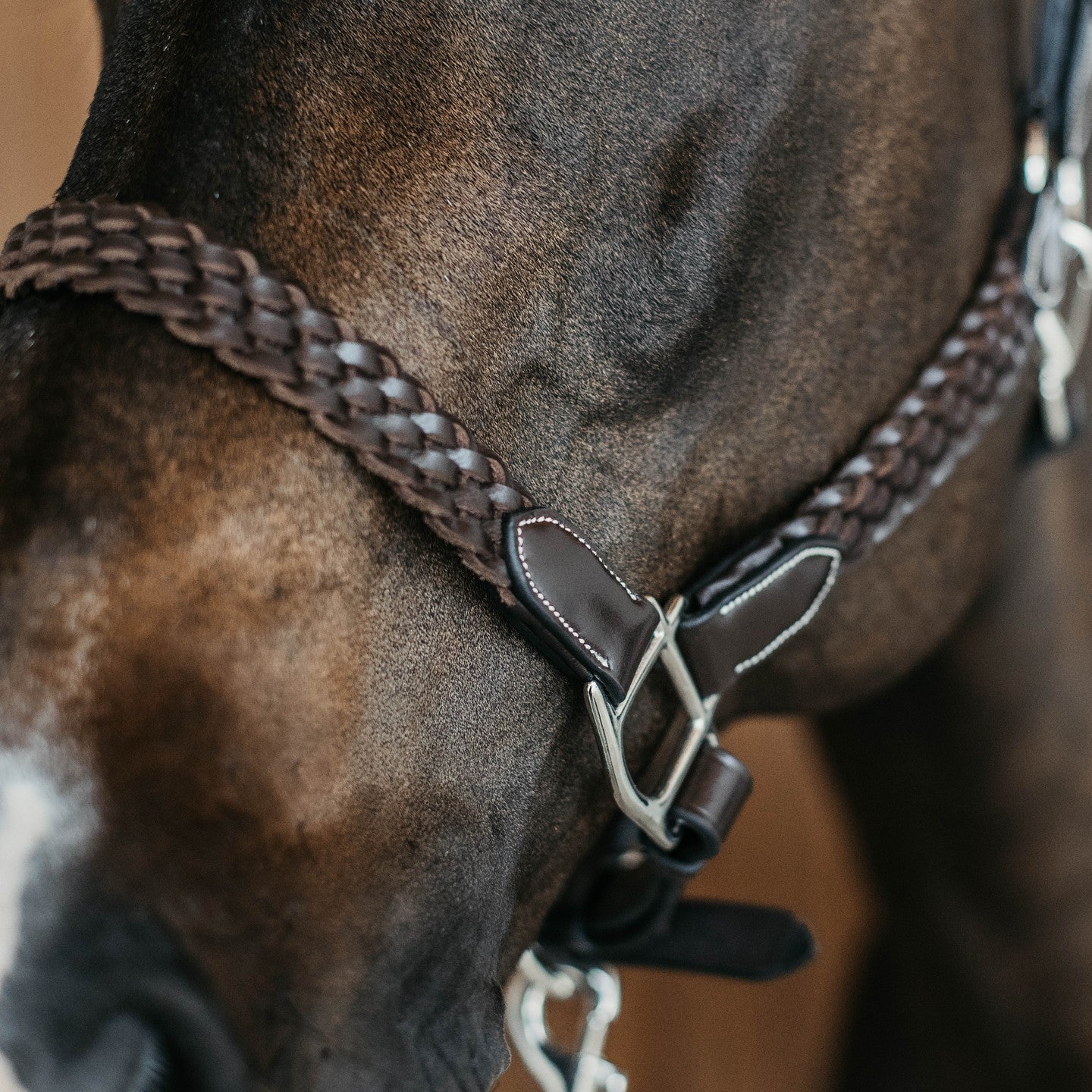 Dy&#39;on Plaited Halter, Brown