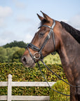 Dy'on Patent Large Crank Noseband Bridle With Flash, Black, New English Collection