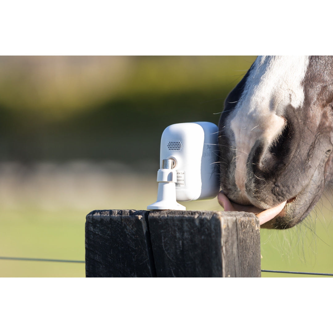 EQUINE EYE at HOME 'Universal' (Stable / Transport / Paddock) Camera / Solar Bundle