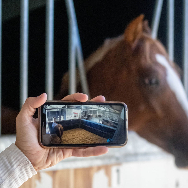 EQUINE EYE at HOME 'Universal' (Stable / Transport / Paddock) Camera / Solar Bundle