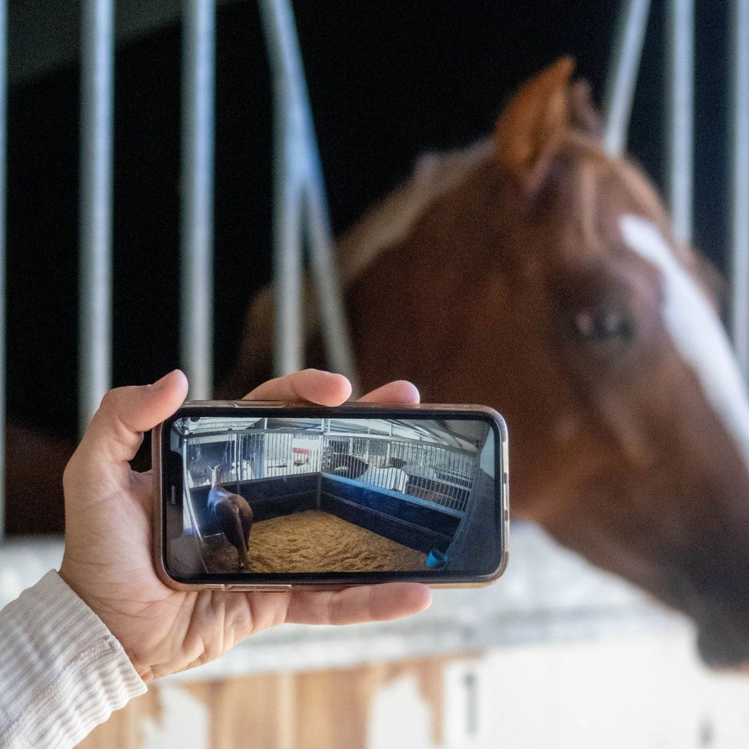 EQUINE EYE at HOME Solar Panel