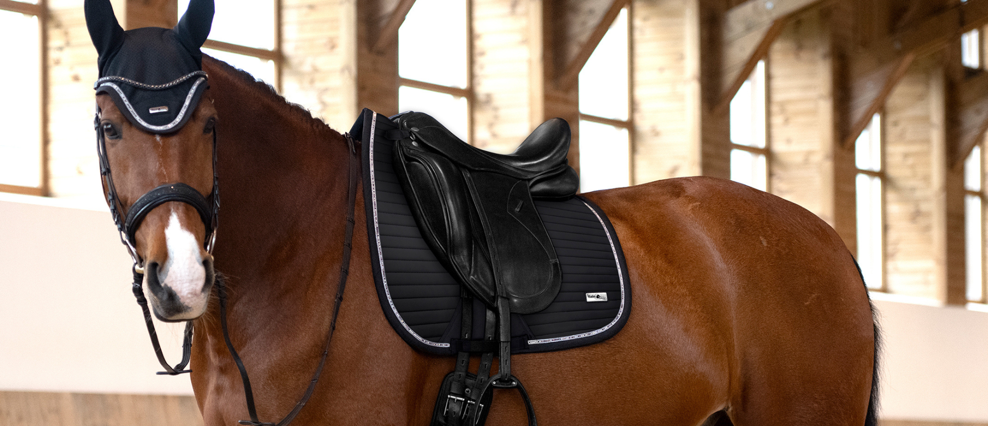 The #1 Tack Shop for Quality Equestrian Supplies – Dapper Horse