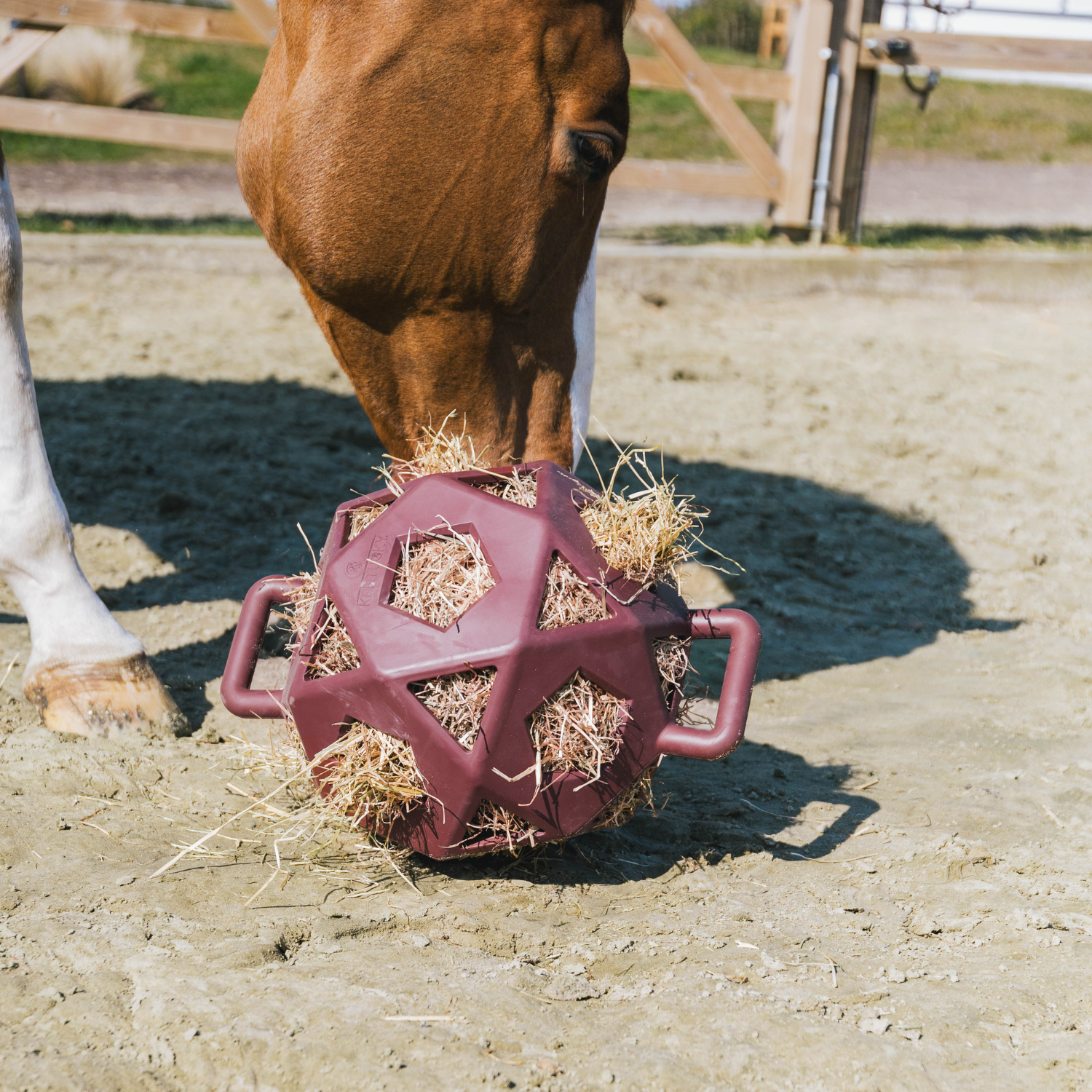 Kentucky Horsewear Relax Horse Play &amp; Hay Ball, Bordeaux