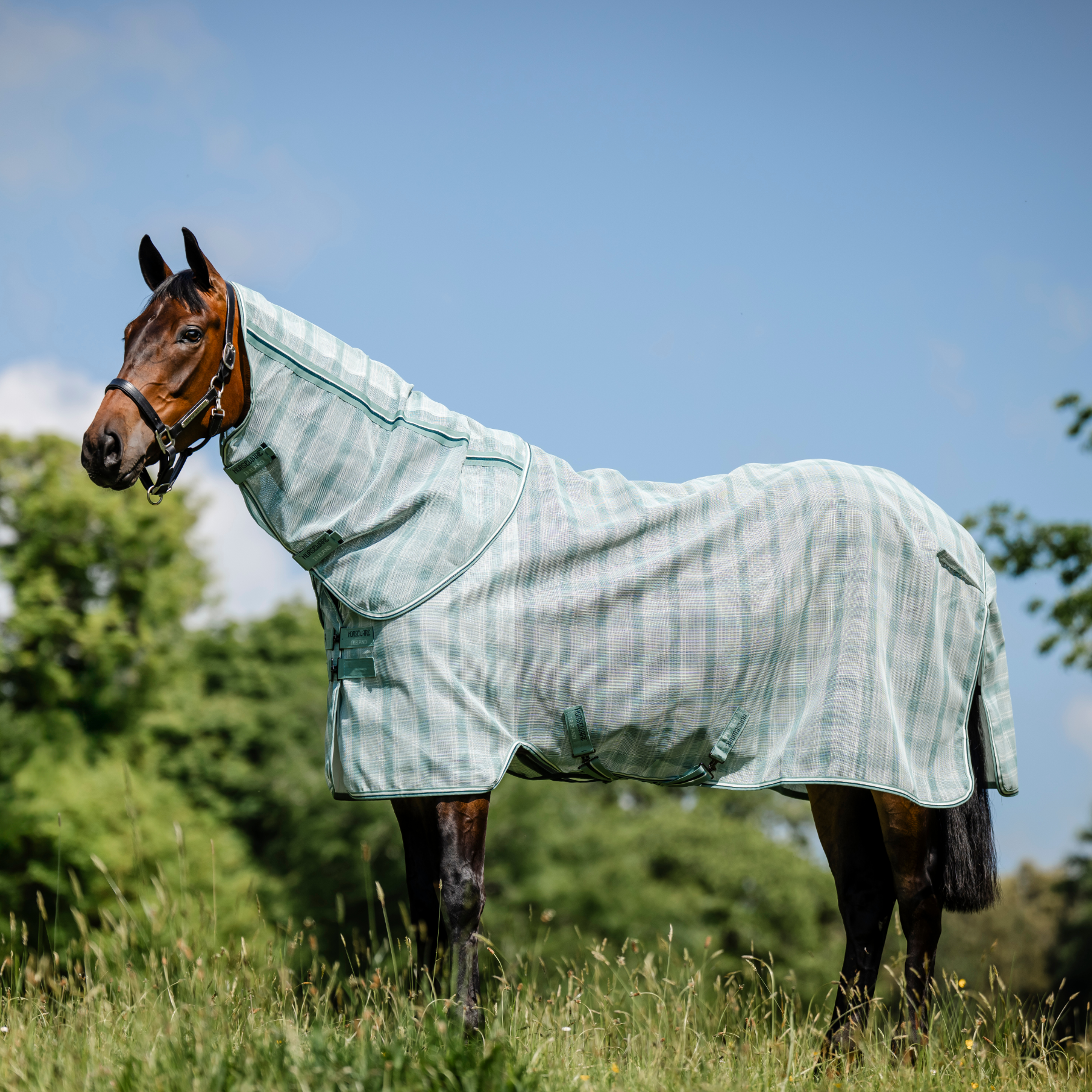 Horseware Newmarket Plus Fly Sheet, Whitney Dynasty – Dapper Horse