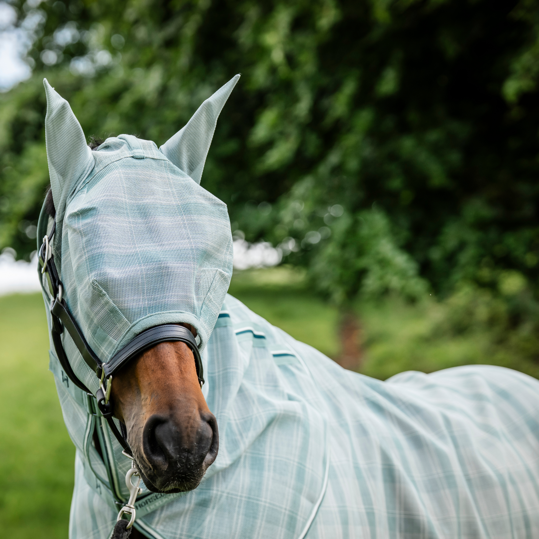 Horsewear Newmarket Fly Mask, Whitney Dynasty