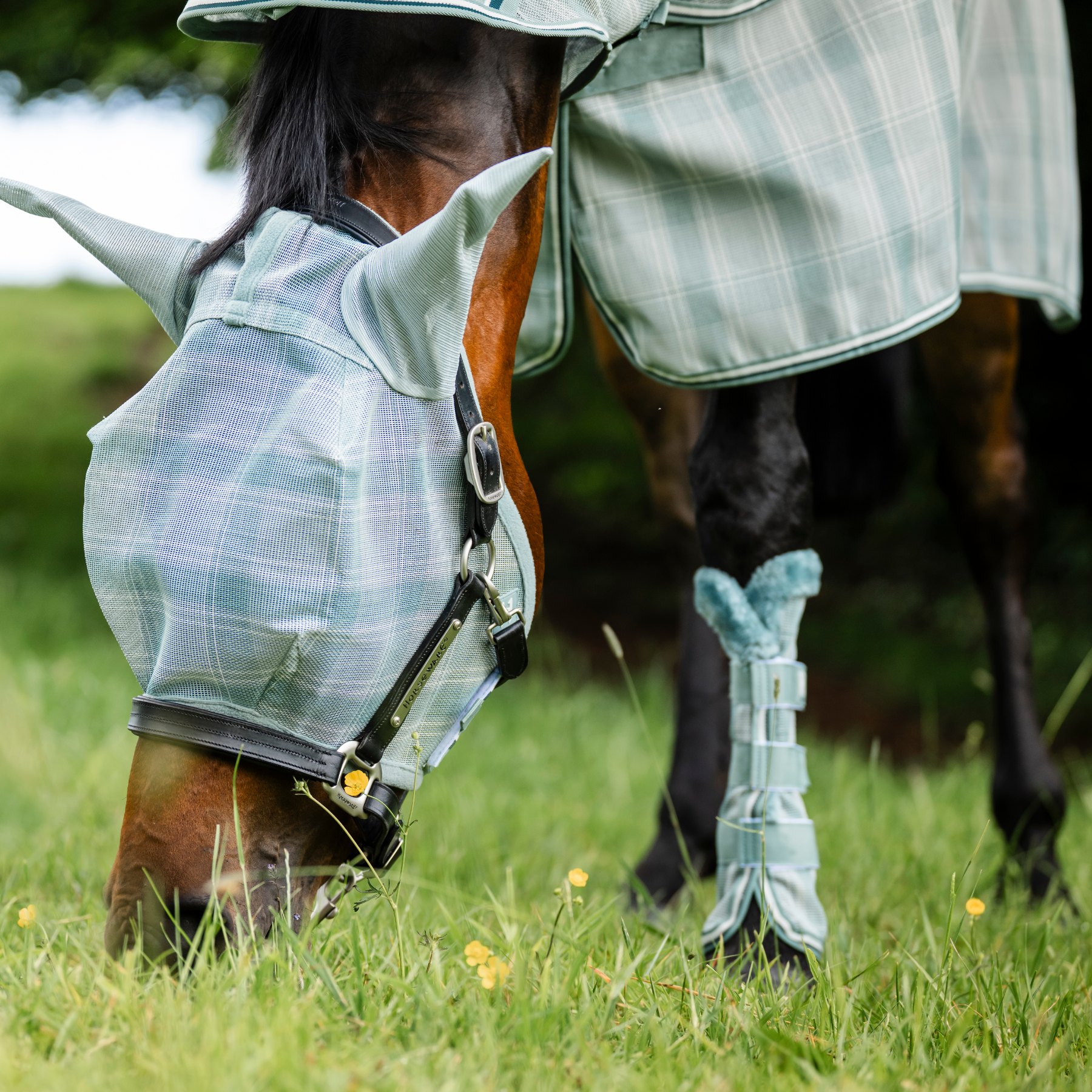 Horsewear Newmarket Fly Mask, Whitney Dynasty