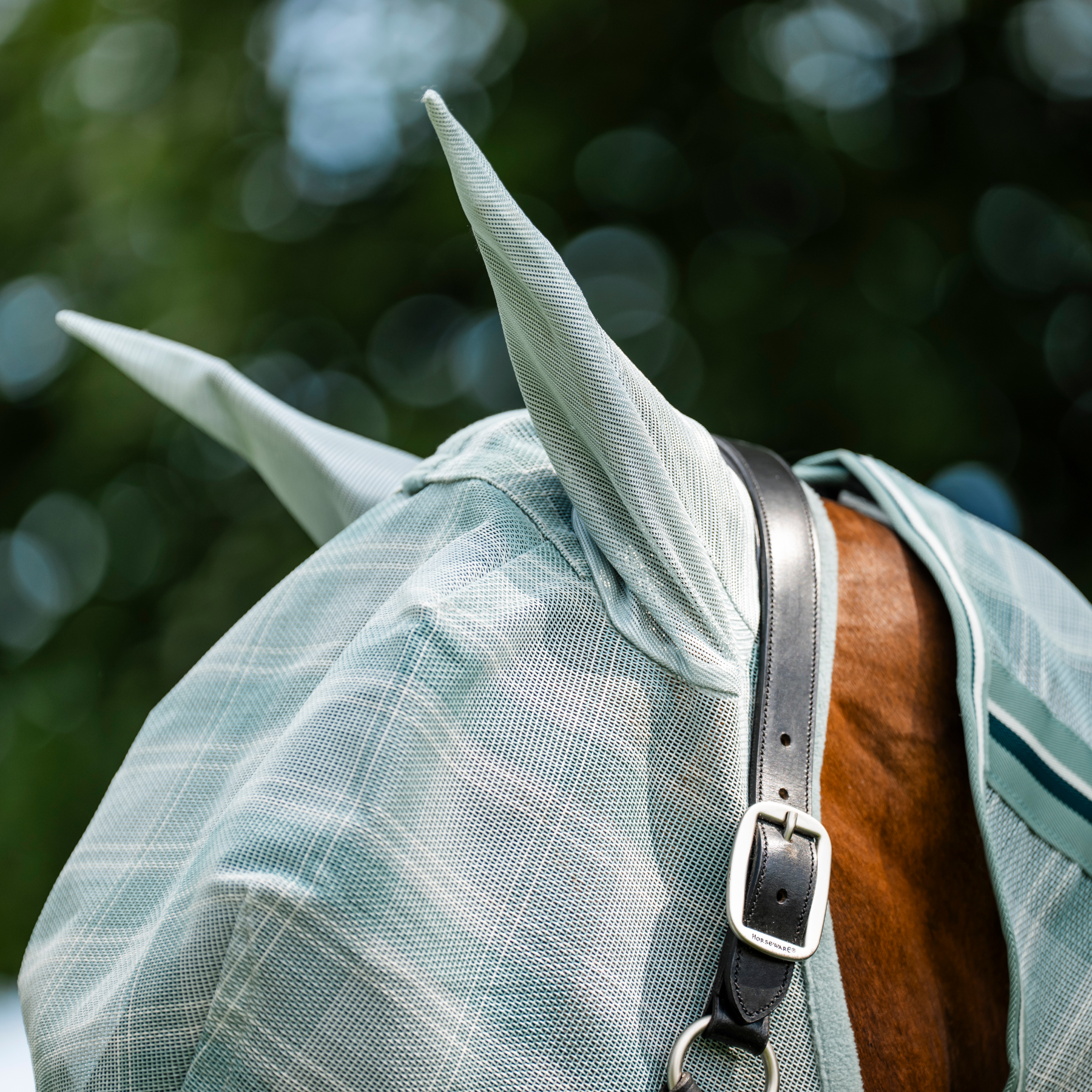 Horsewear Newmarket Fly Mask, Whitney Dynasty