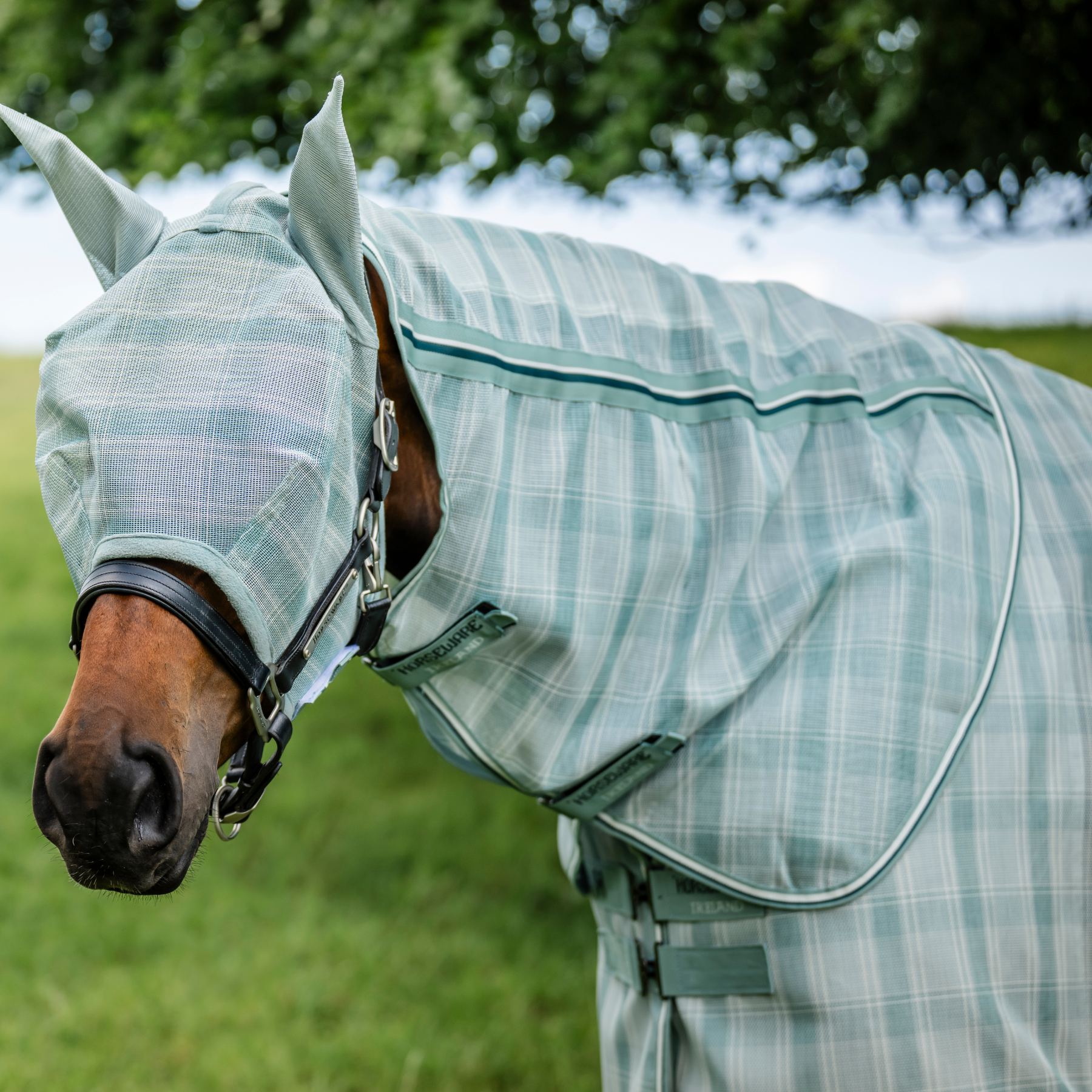 Horsewear Newmarket Fly Mask, Whitney Dynasty