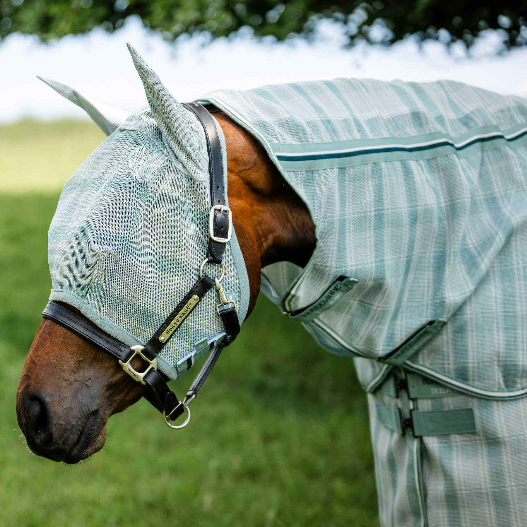 Horsewear Newmarket Fly Mask, Whitney Dynasty