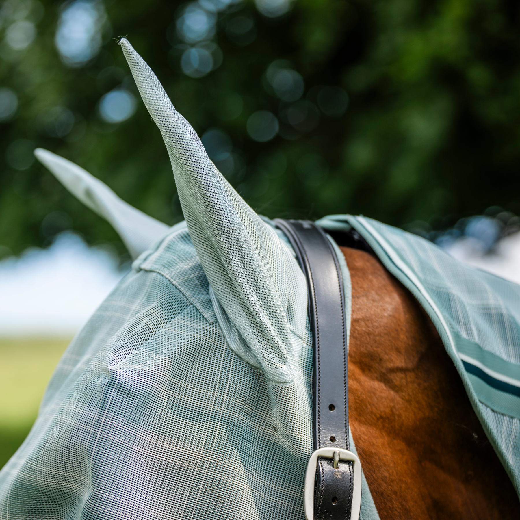 Horsewear Newmarket Fly Mask, Whitney Dynasty