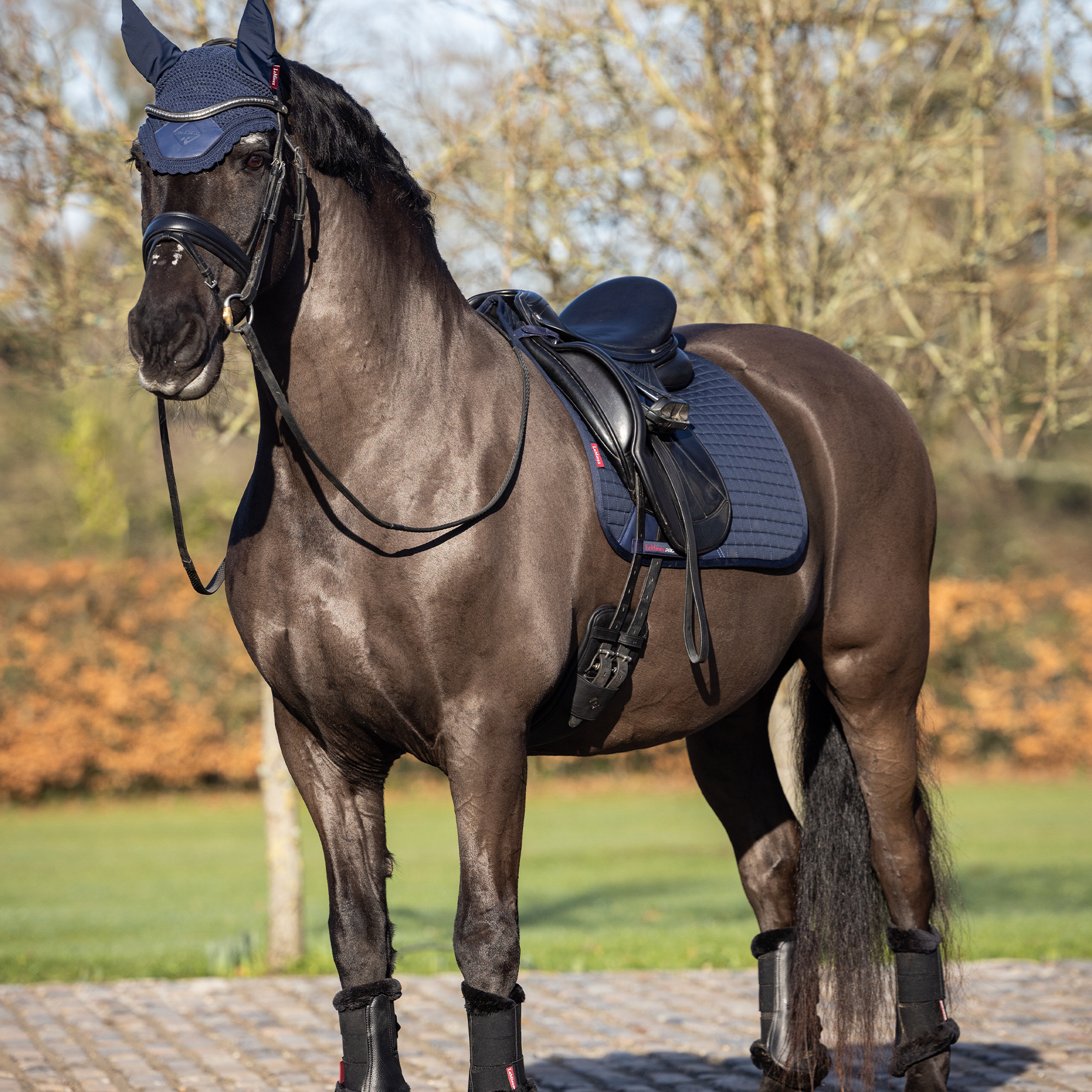 LeMieux Cotton Dressage Saddle Pad, Navy