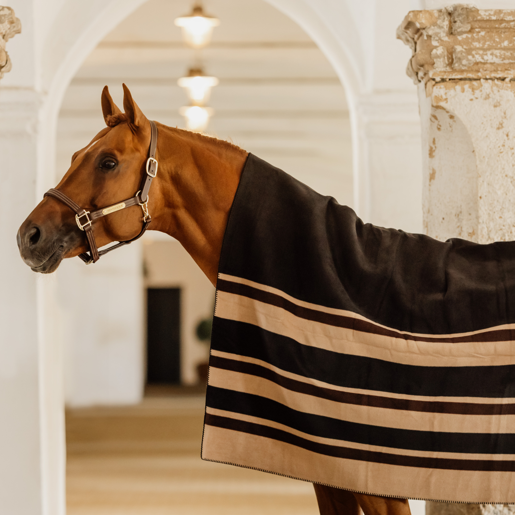 Kentucky Horsewear Heavy Fleece Rug Square Stripes, Brown/Beige