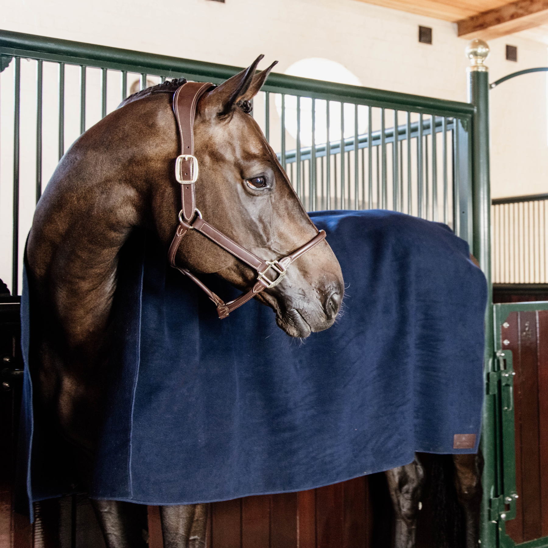 Kentucky Horsewear Heavy Fleece Rug Square, Navy