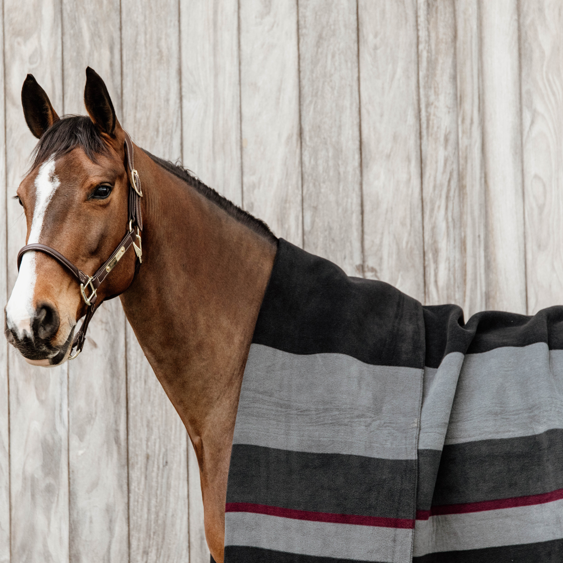 Kentucky Horsewear Heavy Fleece Rug Square Stripes, Black/Grey