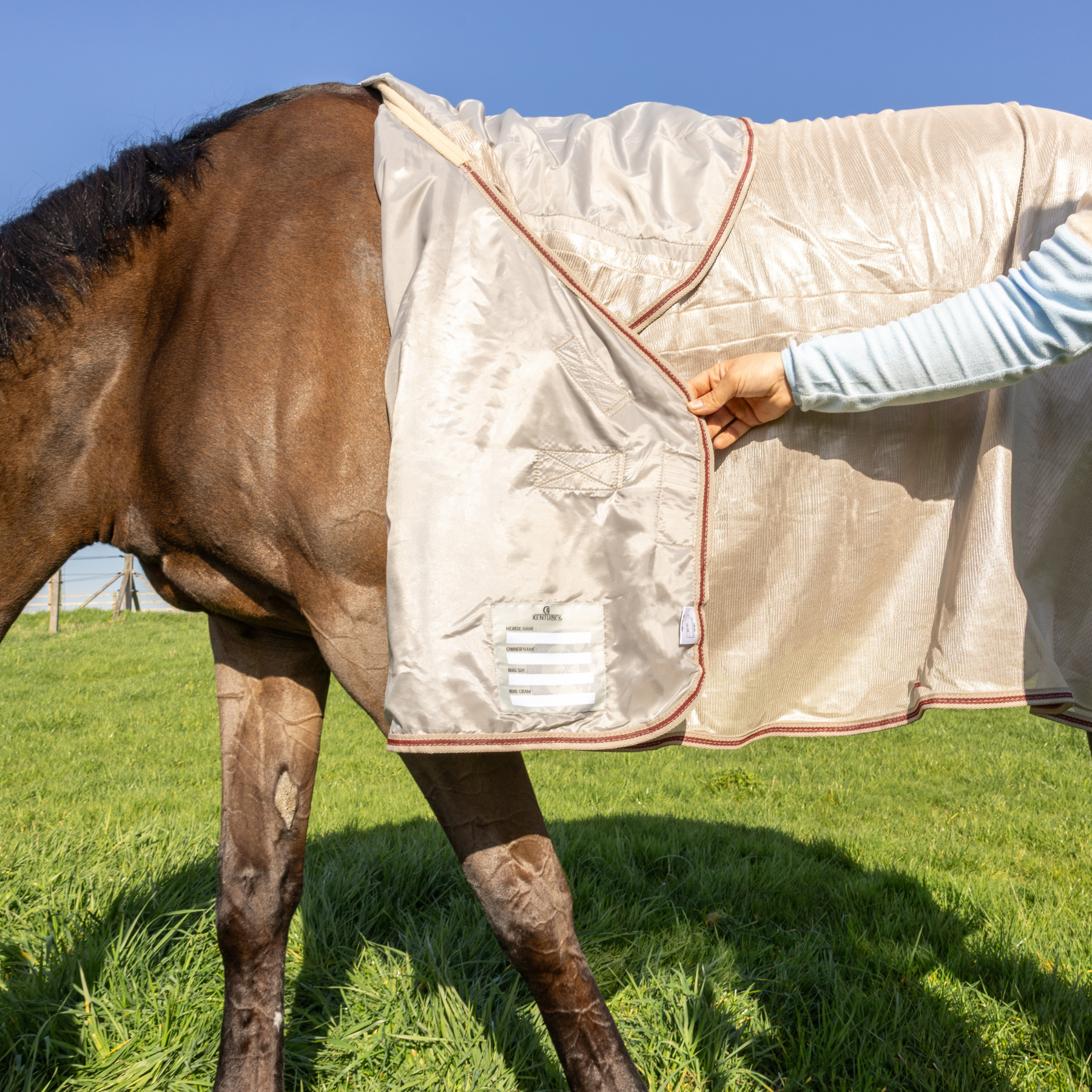 Kentucky Horsewear Mesh Fly Rug Comfort Classic with Neck &amp; Belly Cover