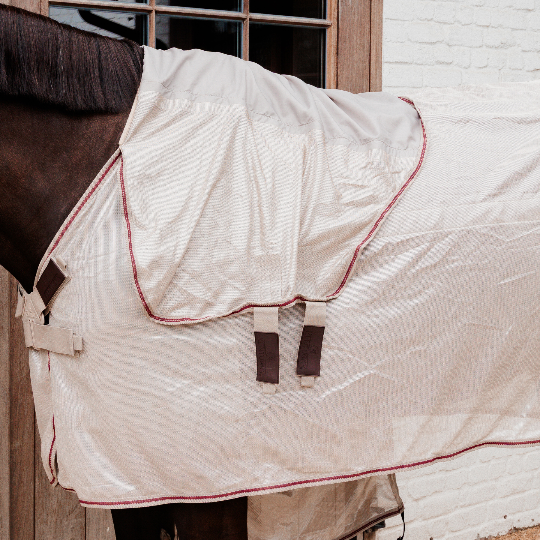 Kentucky Horsewear Mesh Fly Rug Comfort Classic with Neck &amp; Belly Cover