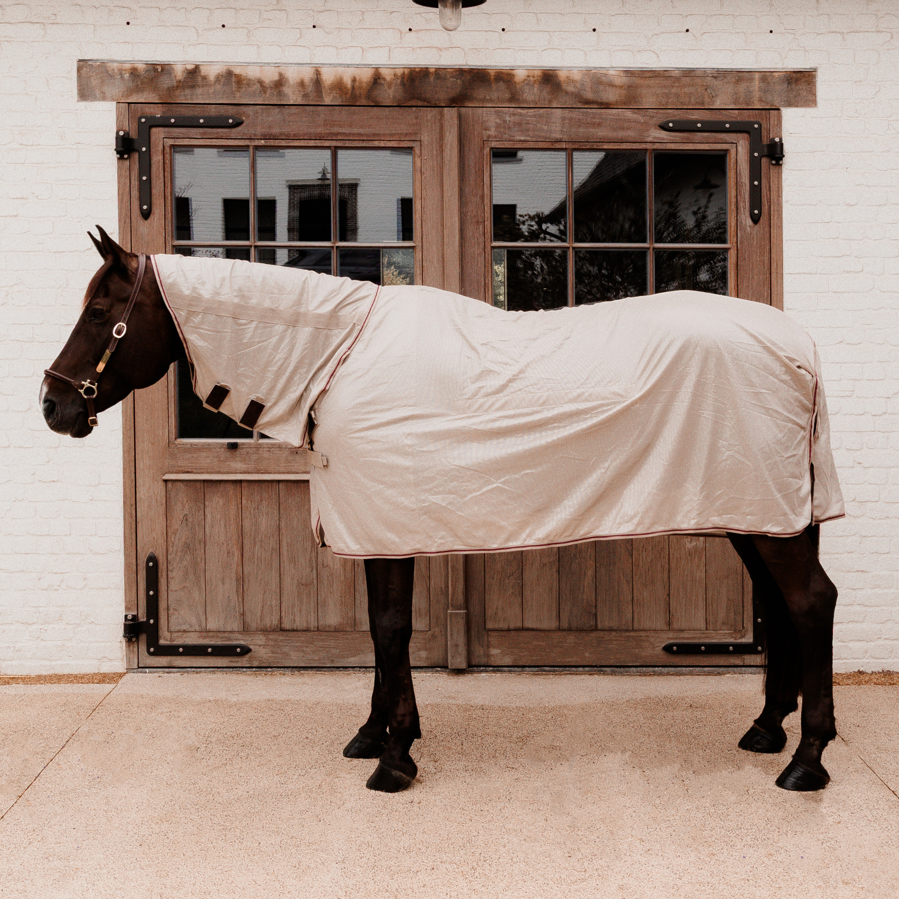 Kentucky Horsewear Mesh Fly Rug Comfort Classic with Neck &amp; Belly Cover