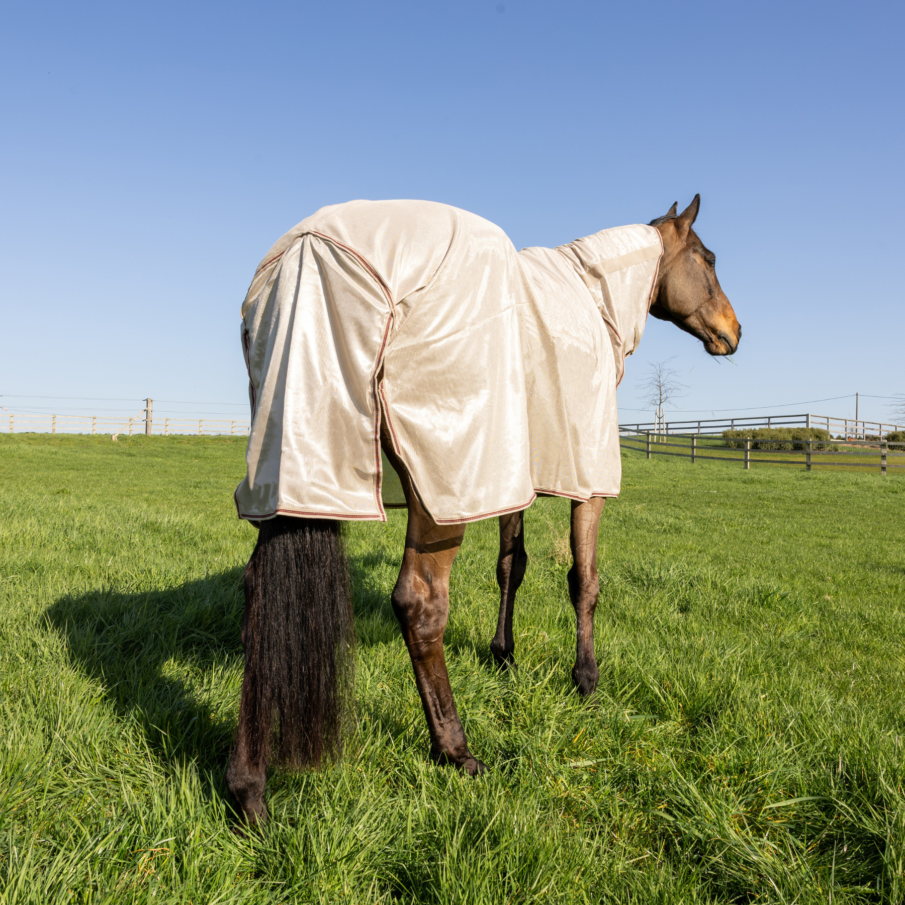Kentucky Horsewear Mesh Fly Rug Comfort Classic with Neck &amp; Belly Cover